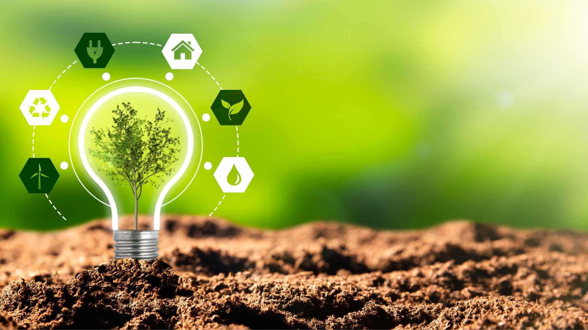 Sustainable Business Practices for the Modern Enterprise